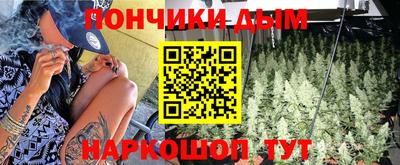 СК Гатчина