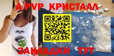 СК Гатчина