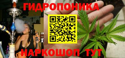 прущие крисы Гагарин