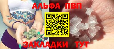 СК Гатчина
