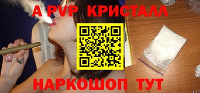 СК Гатчина